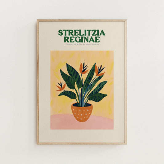 Bird of Paradise Print - Alfresco Prints