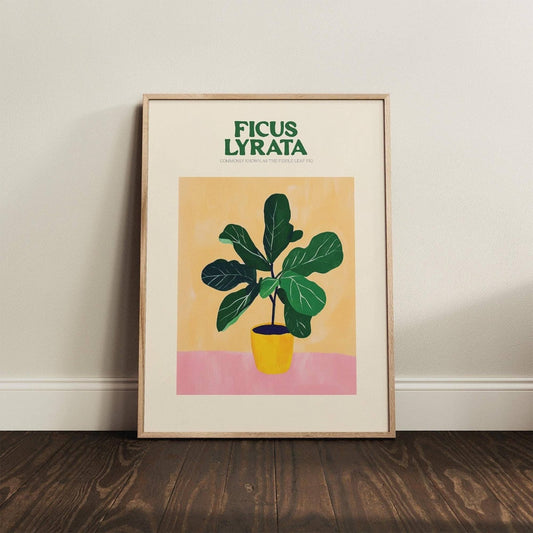 Fiddle Fig Leaf Plant Print - Alfresco Prints