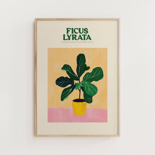Fiddle Fig Leaf Plant Print - Alfresco Prints