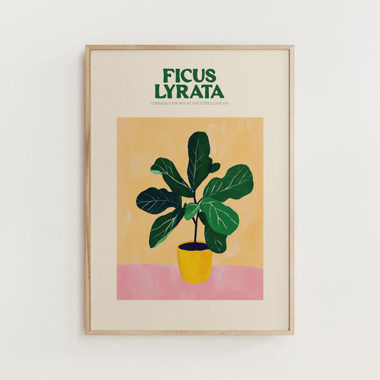 fig plant print