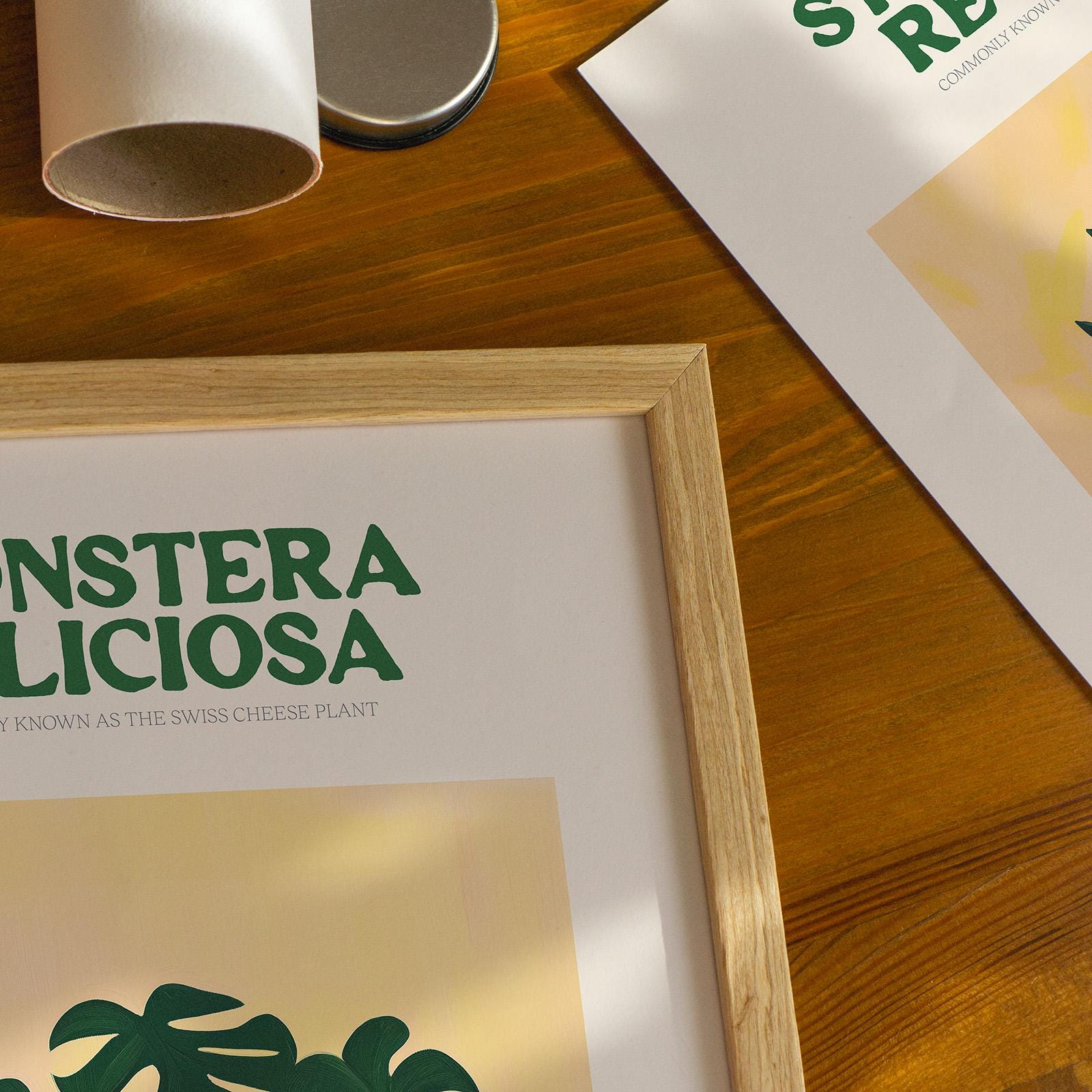 Monstera Plant Print - Alfresco Prints