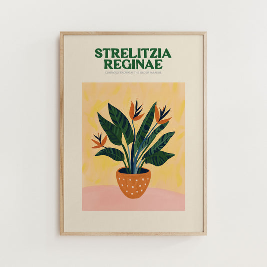 Bird of Paradise Print