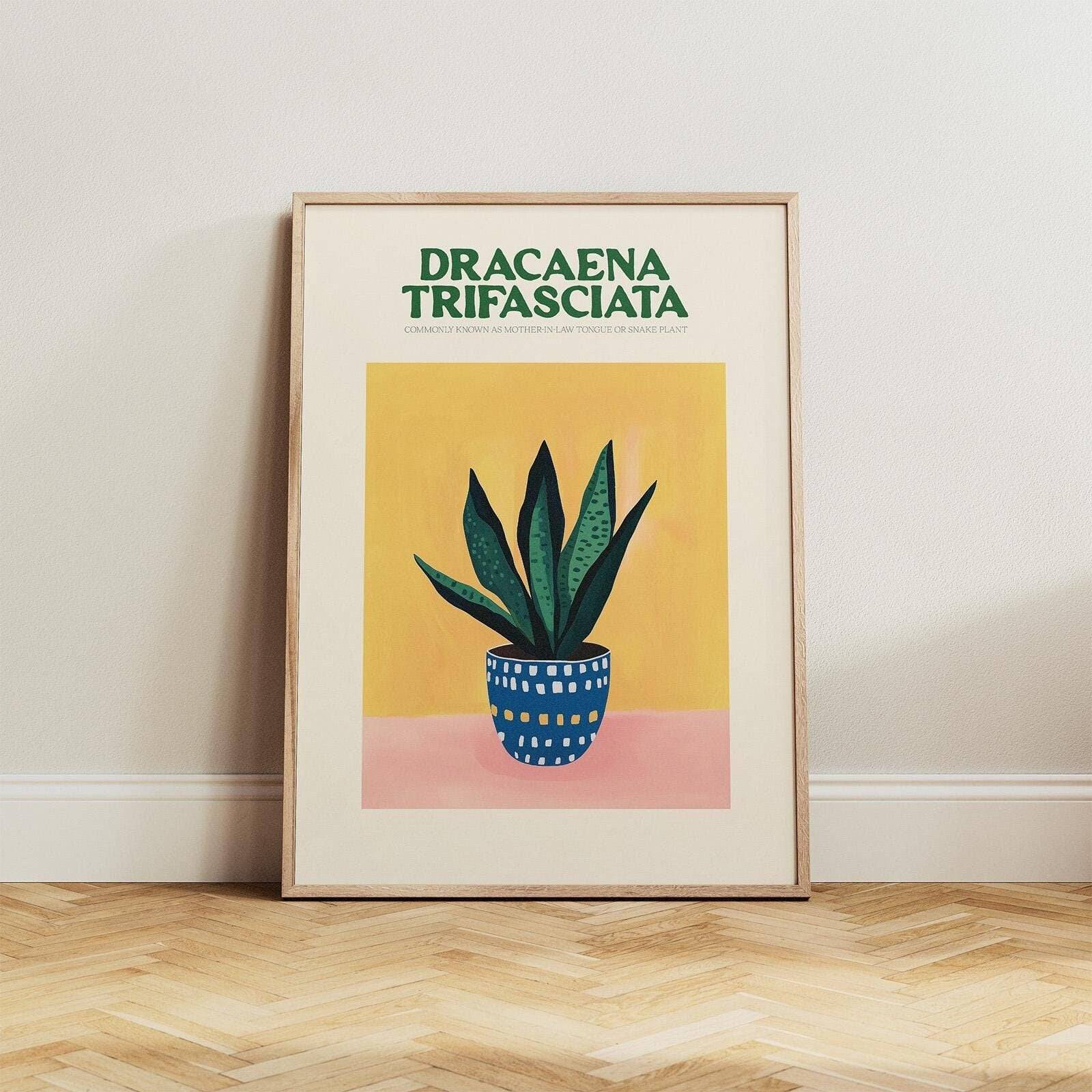 Snake Plant Print - Alfresco Prints