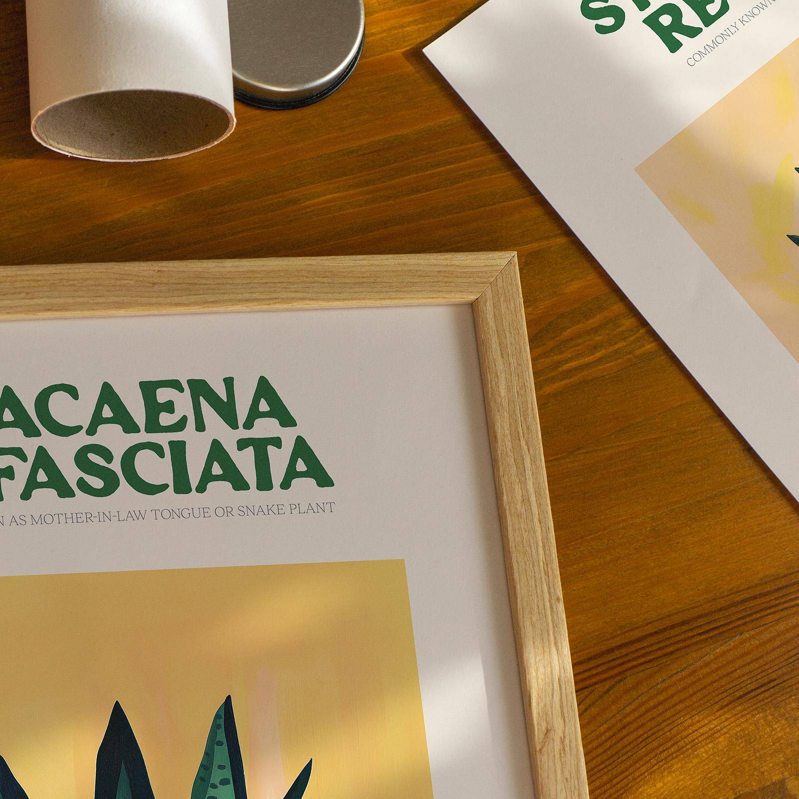 Snake Plant Print - Alfresco Prints